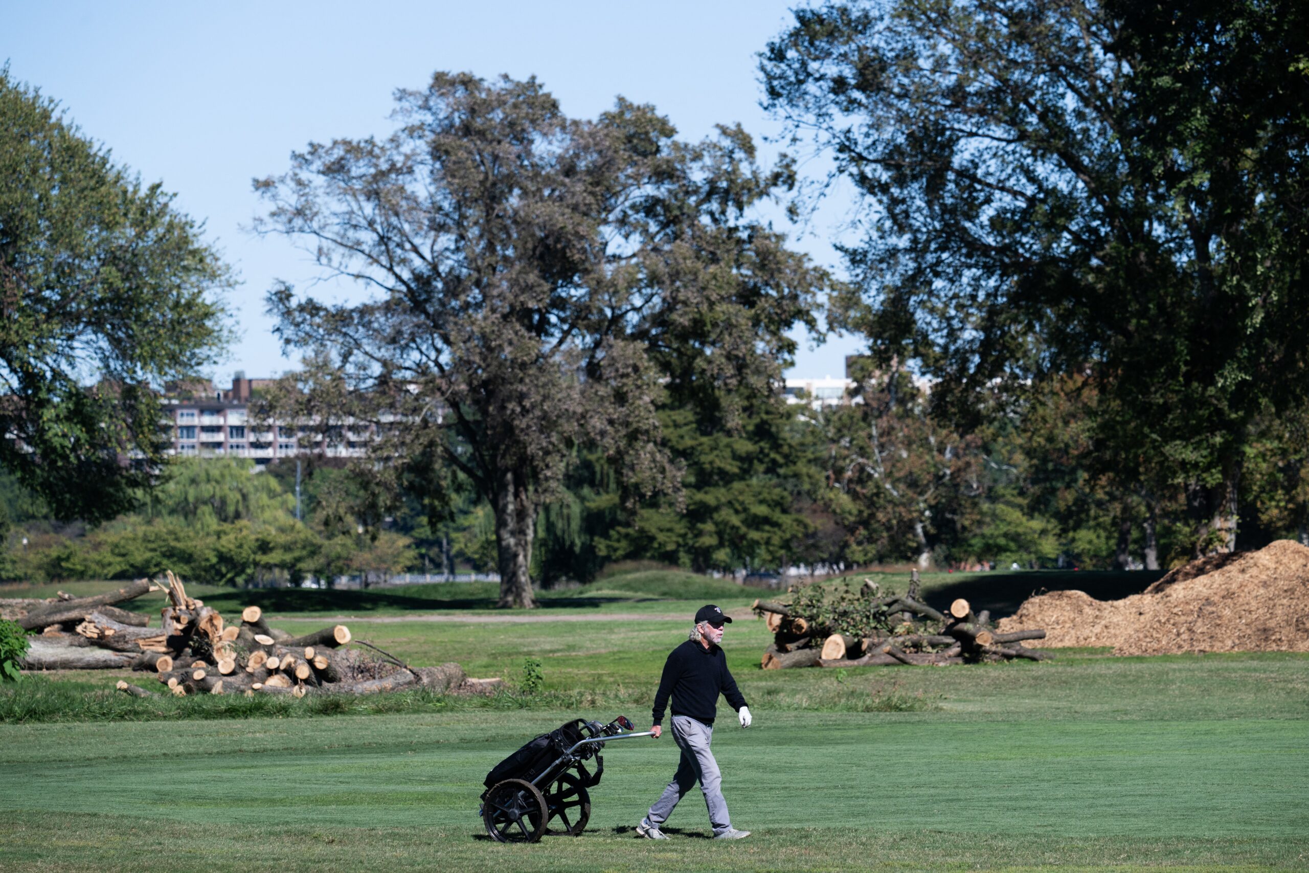 A golfer walks in front of cut down trees at East Potomac Golf Links near Hains Point in Washington